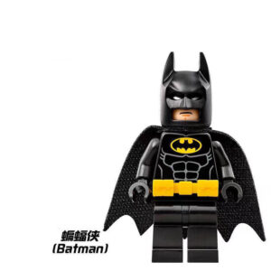 DC Super hero Minifigs Compatible LEGO Super hero DC Joker Harley Quinn Robin Minifigures 4