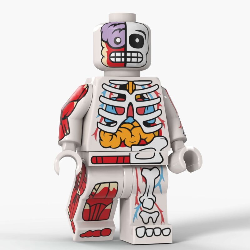 Minifigures F horror seriesanatomy bones Compatible LEGO